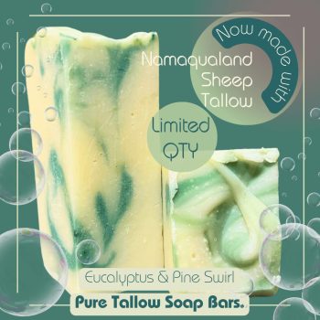 Eucalyptus & Pine Sheep Tallow Soap